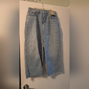 Madewell petite curvy perfect vintage wide leg crop jean